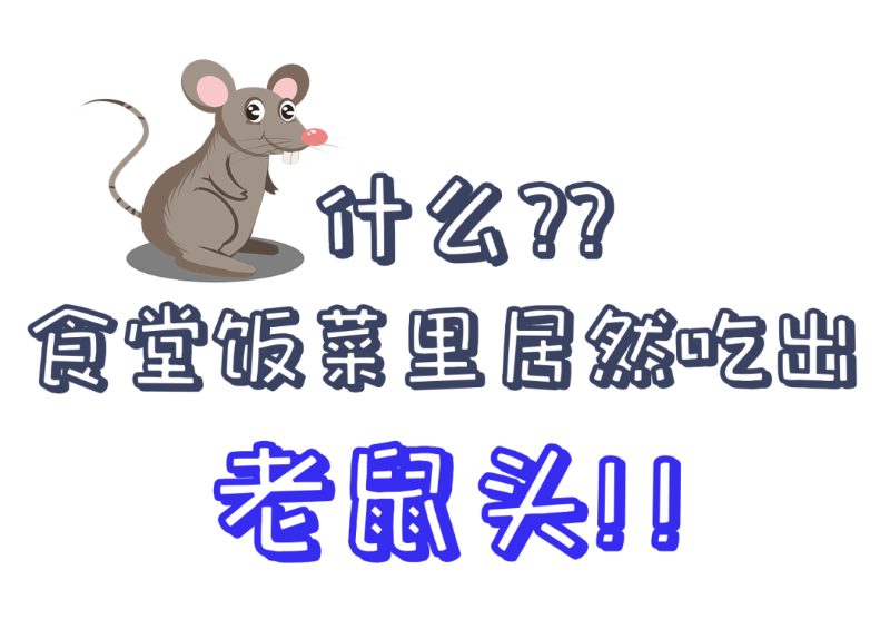 公共食堂又爆雷！饭菜吃出老鼠头？？看看球盟会(中国)新材怎么做......
